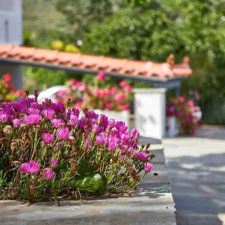 Irene Lejlighedshotel