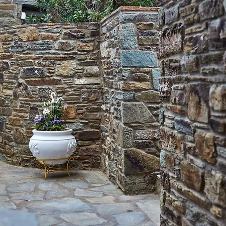 Irene Áyios Pétros