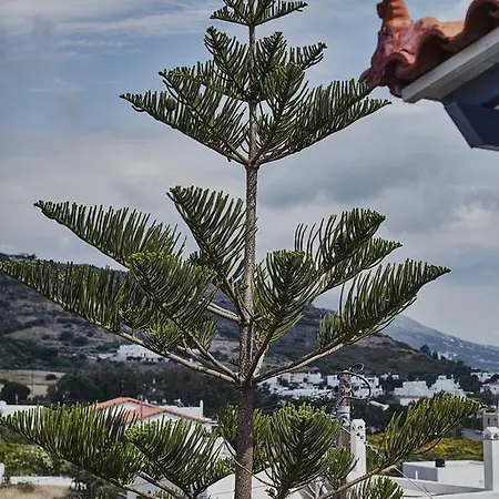 Aparthotel Irene Agios Petros (Andros)
