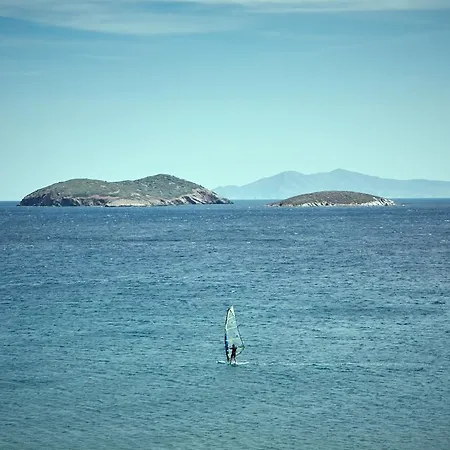 Irene 3* Agios Petros (Andros)