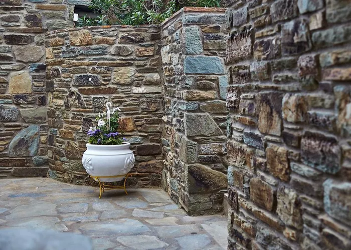 Irene Áyios Pétros